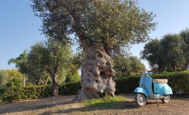 Foto Struttura_10