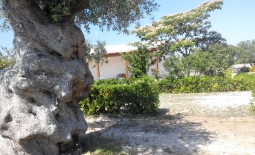 Struttura_11