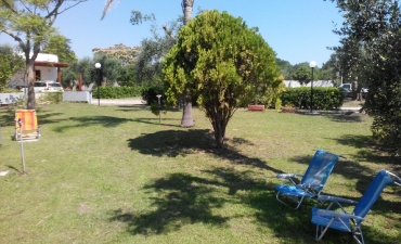 Struttura_12