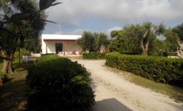 Struttura_18