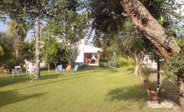 Struttura_19