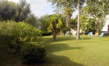 Struttura_20