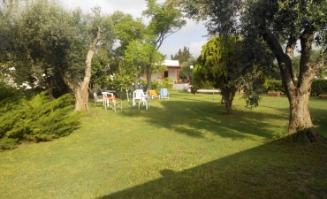 Struttura_21