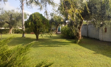 Struttura_23