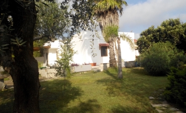 Struttura_24
